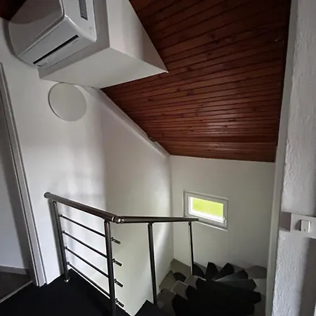 Larisa Apartma Апартаменты Домжале